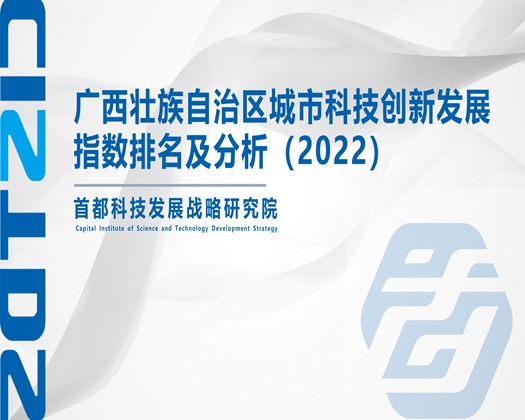 逼被强插了网站【成果发布】广西壮族自治区城市科技创新发展指数排名及分析（2022）